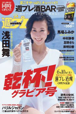 南安太妃传 h